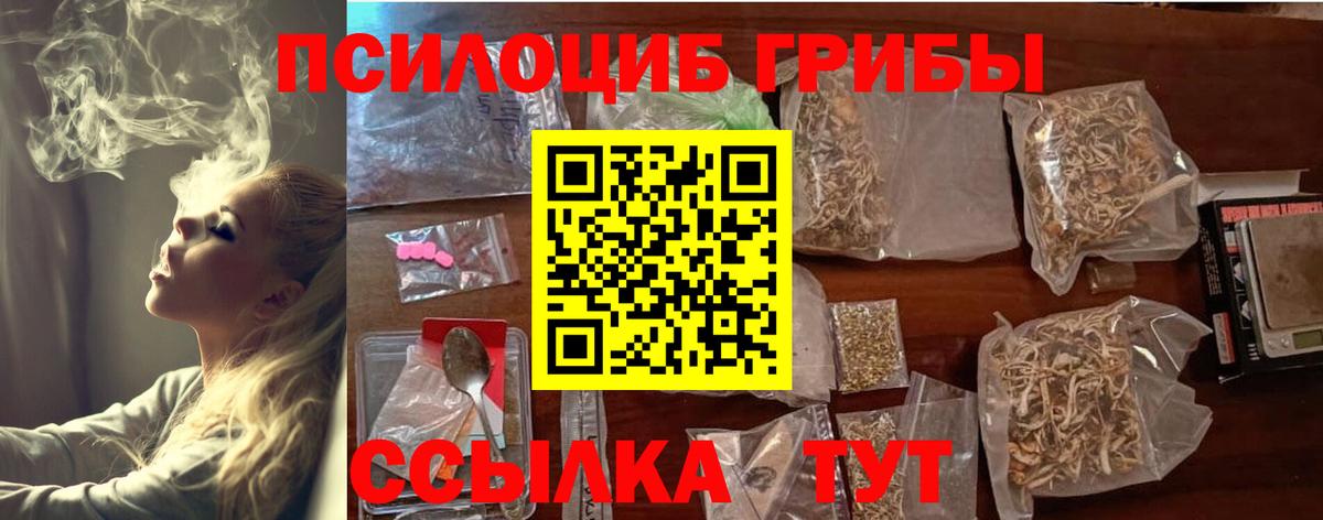Ирбит  Псилоцибиновые грибы MAGIC MUSHROOMS  Галлюциногенные грибы GOLDEN TEACHER  Вход с VPN 